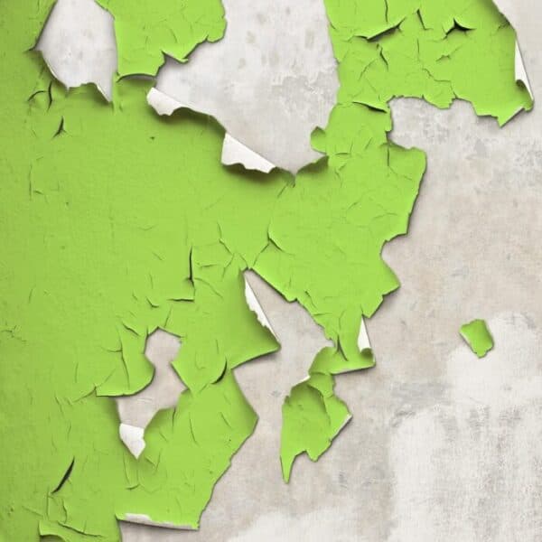 Professional house painters Pittsburgh