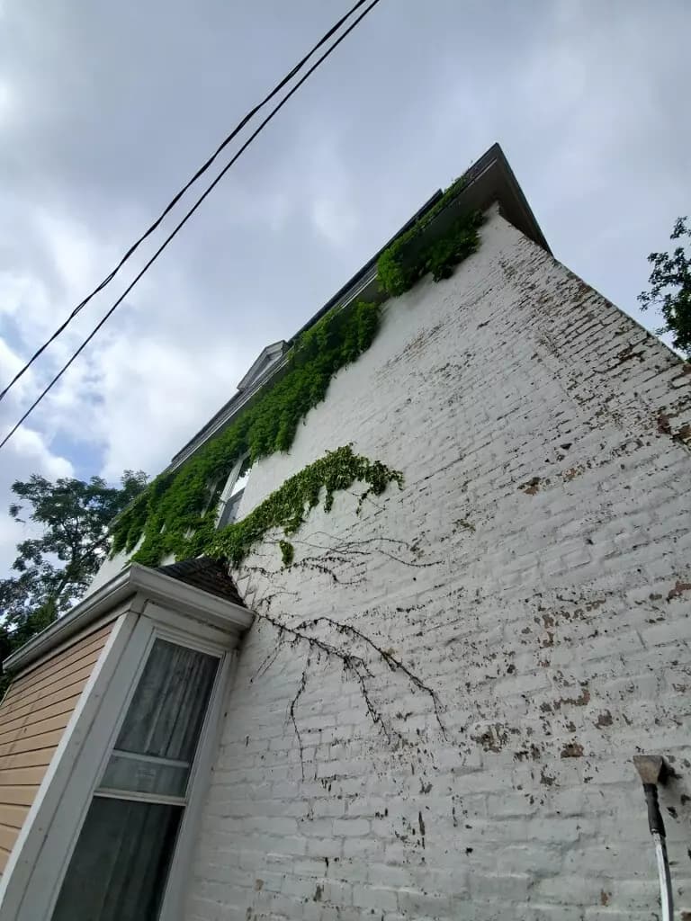 Before - Residential painting before after