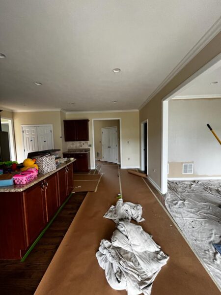 Premium paint materials showing quality products and professional standards